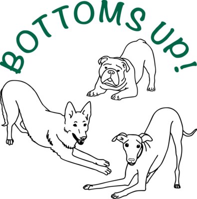 Bottoms up back